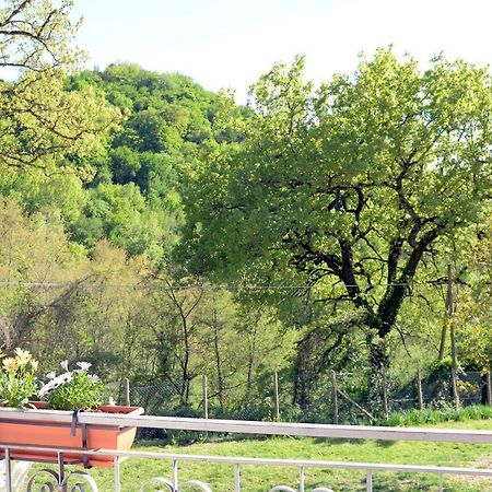 مبيت وإفطار رييتي Rifugio Nel Bosco المظهر الخارجي الصورة